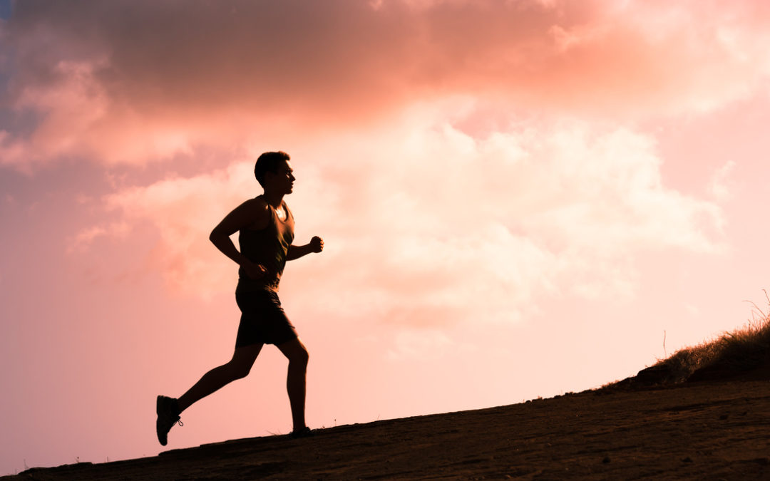 L’Etat de Vaud est trop gras et trop gros : l’UDC veut le mettre au régime