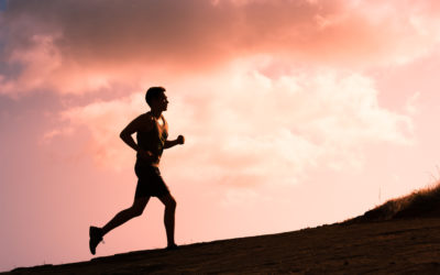 L’Etat de Vaud est trop gras et trop gros : l’UDC veut le mettre au régime