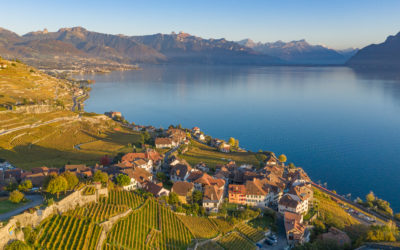 Révision de la loi sur les communes : l’UDC Vaud dénonce une attaque frontale contre l’autonomie communale